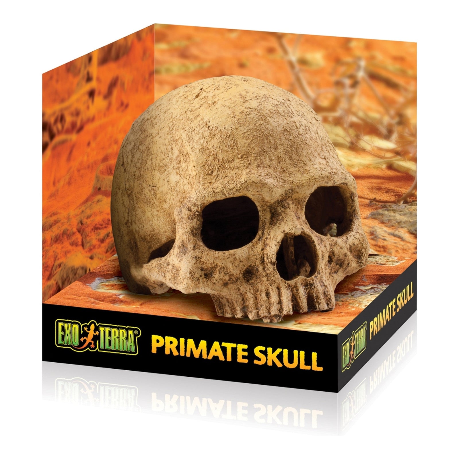 Exo Terra Primate Skull, Reptile Hide, Cave for Desert, Forest, Tank