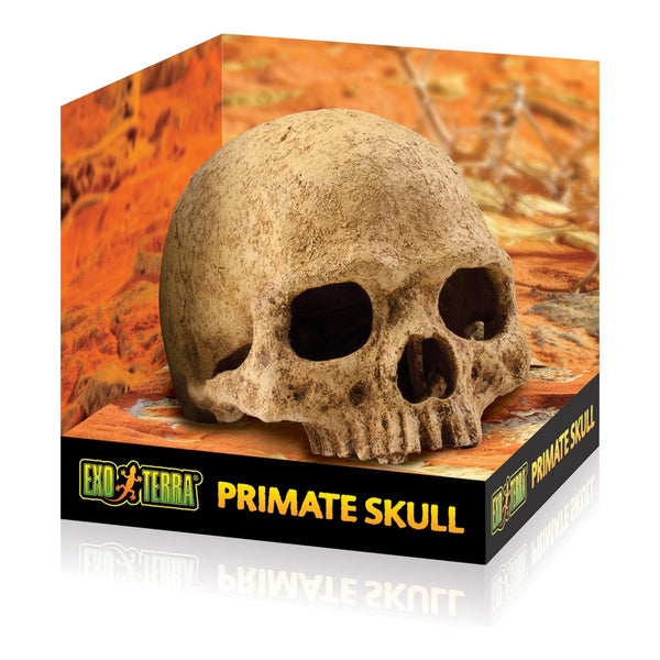 Exo Terra Primate Skull, Reptile Hide, Cave for Desert, Forest, Tank