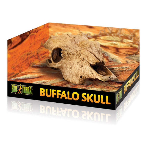 Exo Terra Buffalo Skull, Reptile Hide, Terrarium Cave, for Desert