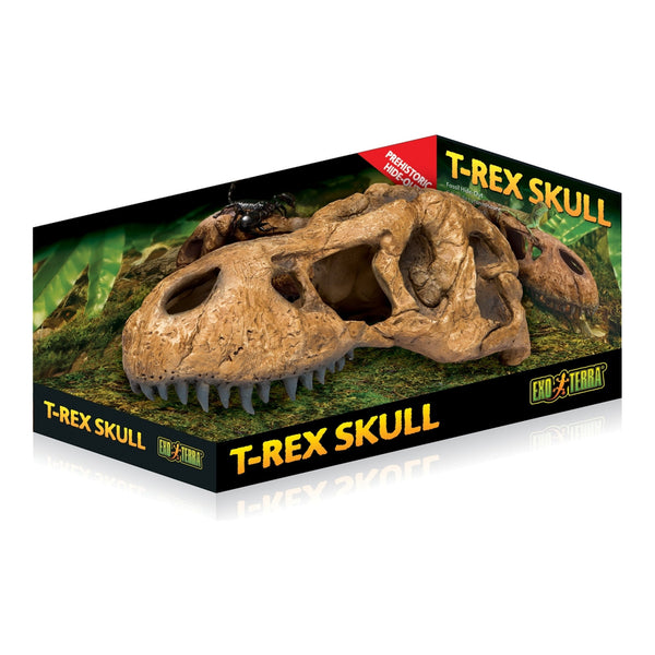Exo Terra T-Rex Skull Fossil Hide-Out PT2859