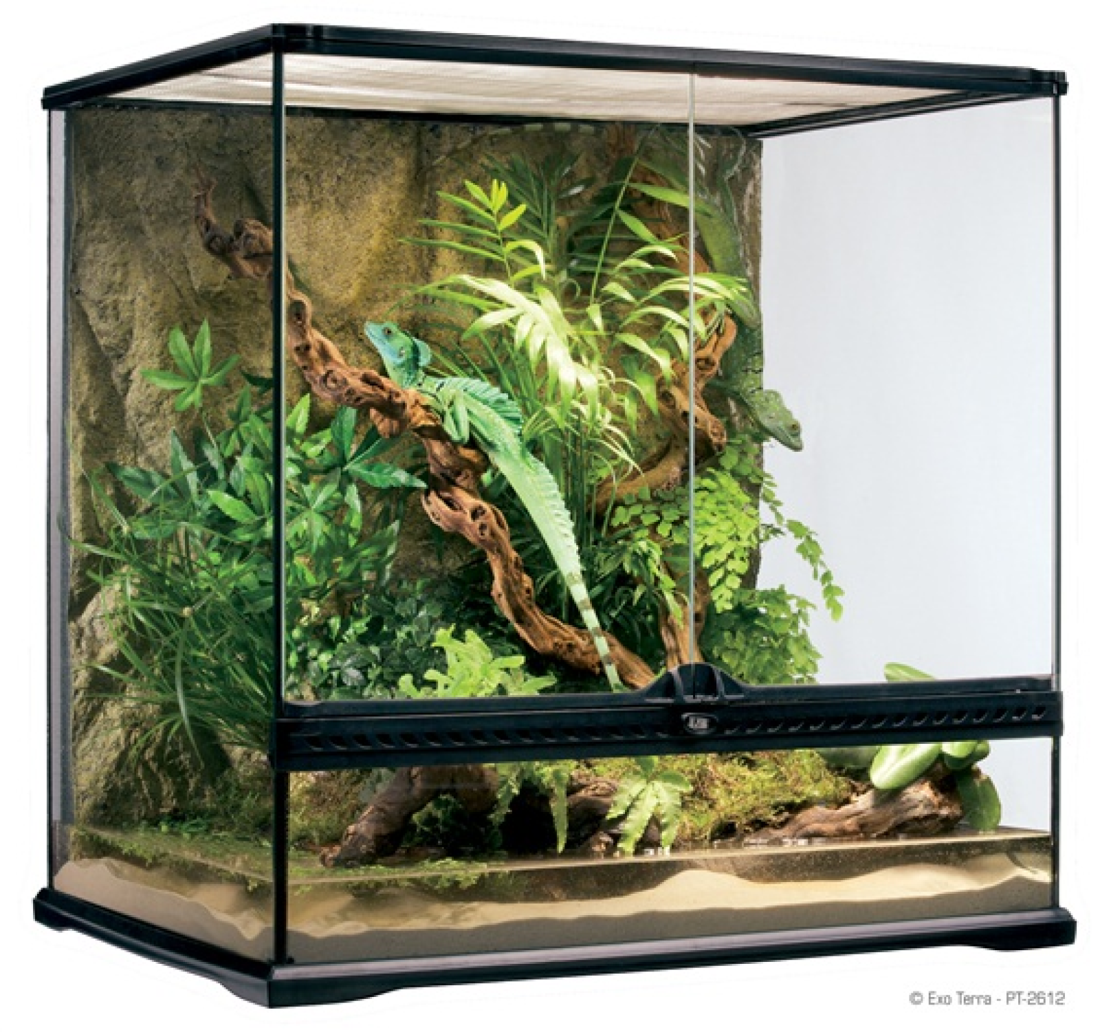 Exo Terra Natural Terrarium (Medium/Tall) 60x45x60 cm, Reptile Habitat