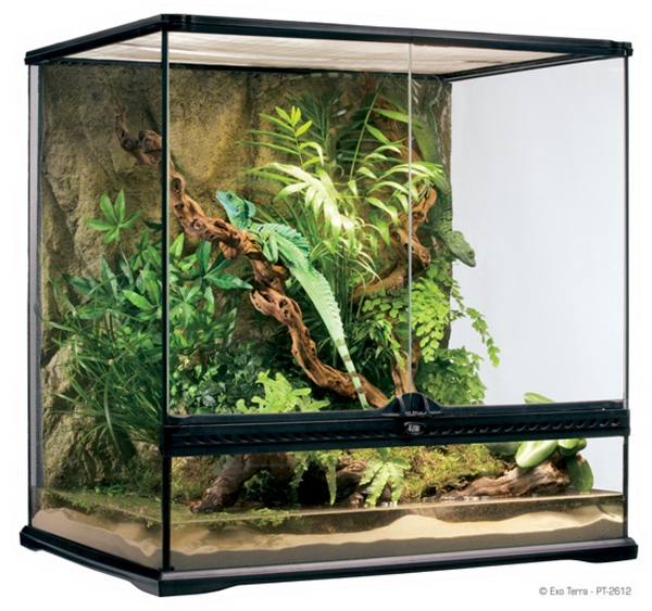 Exo Terra Natural Terrarium (Medium/Tall) 60x45x60 cm, Reptile Habitat