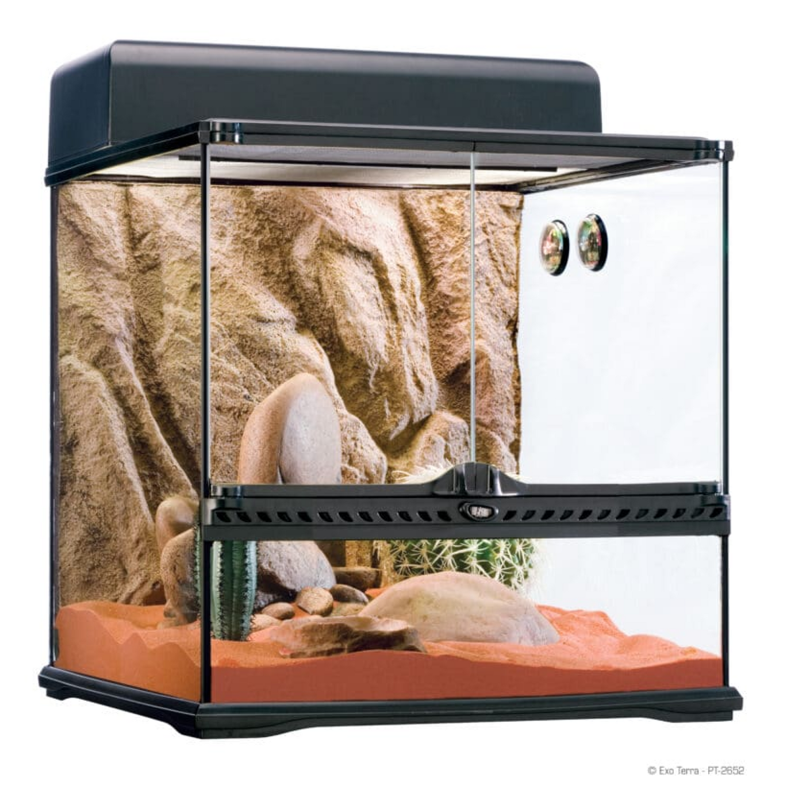 Exo Terra Habitat Kit Desert Medium, Habitat for Snakes, Lizards, Pets