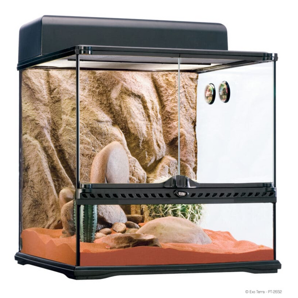 Exo Terra Habitat Kit Desert Medium, Habitat for Snakes, Lizards, Pets