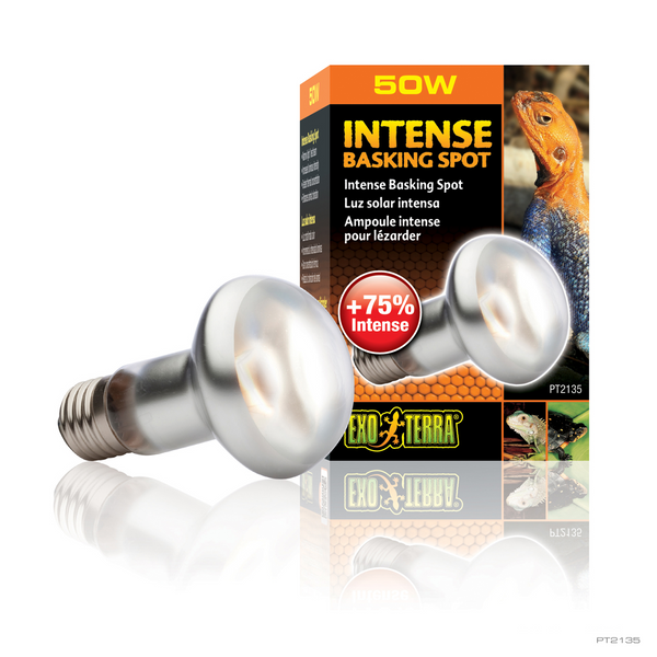 Exo Terra Intense Basking Spot 50W, Lamp, Bulb, for Breeding, Heat