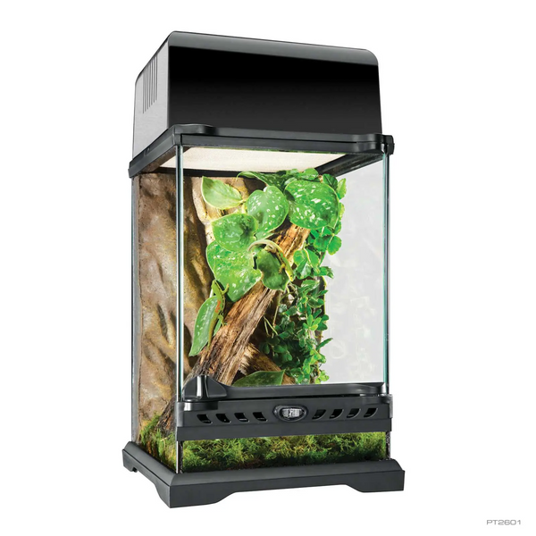 Exo Terra Natural Terrarium Nano Tall 20x20x30, Glass Reptile Habitat