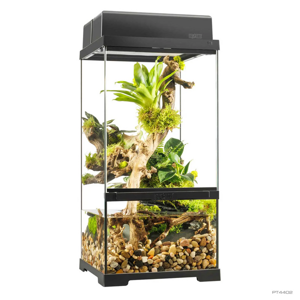 Exo Terra Pro Paludarium (X-Small X-Tall), 30 x 30 x 60 cm, Terrarium
