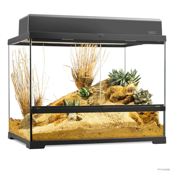 Exo Terra Pro Terrarium (Medium Wide) 60 x 45 x 45 cm, Tank for Pets