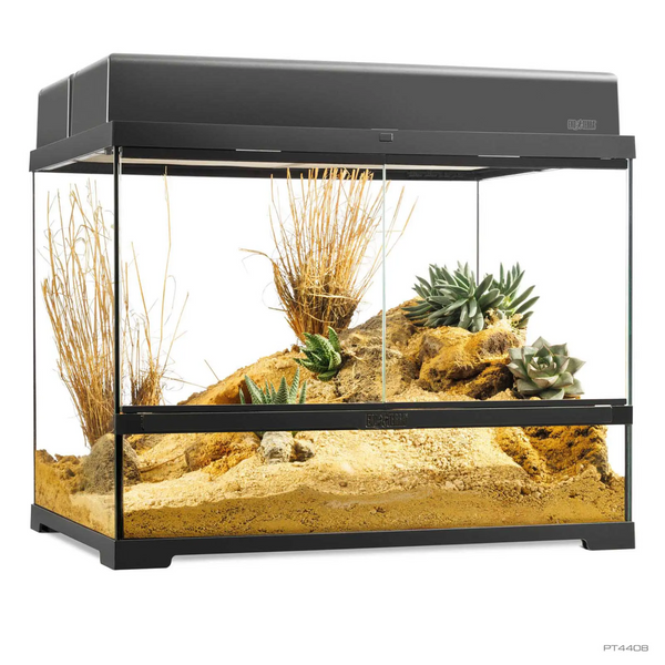 Exo Terra Pro Terrarium (Medium Wide) 60 x 45 x 45 cm, Tank for Pets