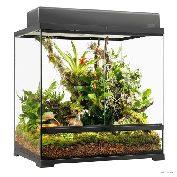 Exo Terra Pro Terrarium Medium Tall – 600 × 450 × 600 mm