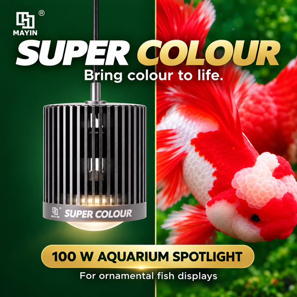 MAYIN Super Colour 100 W aquarium spotlight with an ornamental goldfish display
