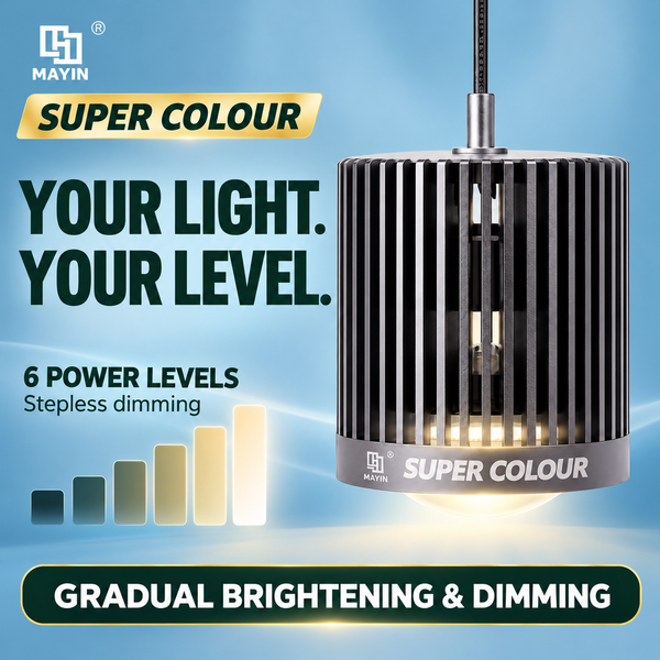 Single MAYIN Super Colour lamp with six power levels, stepless dimming and gradual light transitions