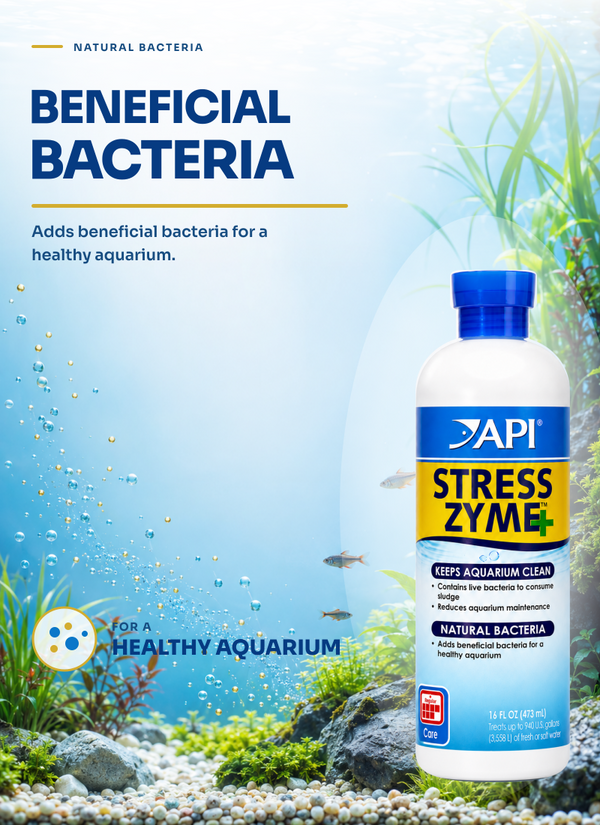 API Stress Zyme 16 oz, Bacterial Tank Cleaner for Care, Health, Cycle