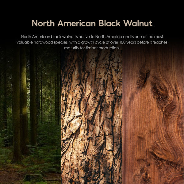 H18 Double-Layer 2000 mm Aquarium & Cabinet – North American Black Walnut (030)