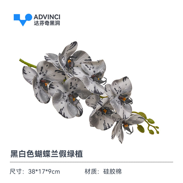 https://storage.googleapis.com/shophub-dev-public/orgs/23978ad6-e112-475b-84af-1f69693c01df/media/2026/06/23/O1CN01ACkOgG1TOQbaMEtQv_!!1644842372.jpg