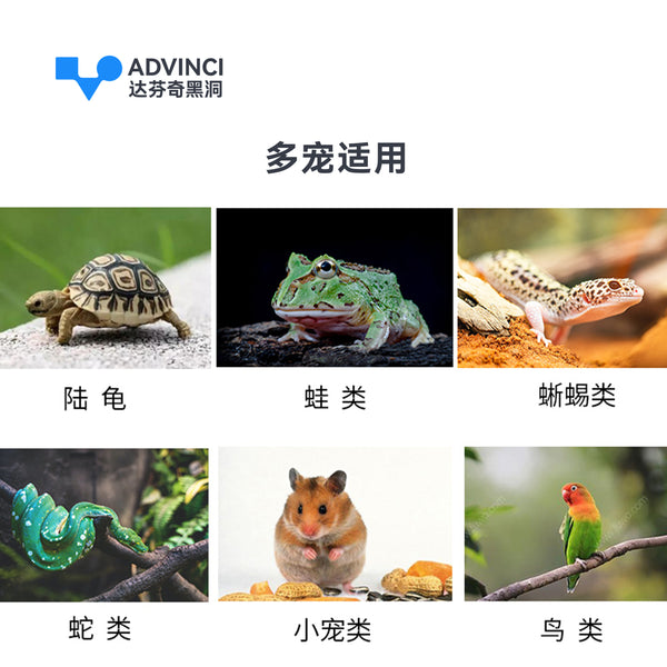 https://storage.googleapis.com/shophub-dev-public/orgs/23978ad6-e112-475b-84af-1f69693c01df/media/2026/06/24/O1CN01aQb2hS1TOQbbNP2PK_!!1644842372.jpg