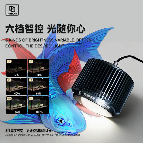 https://img.alicdn.com/imgextra/i3/2933563991/O1CN01dEoVI71fLvoqNoI62_!!2933563991.jpg