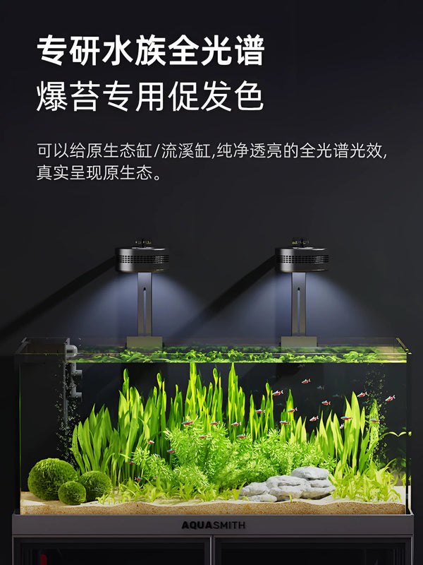 https://img.alicdn.com/imgextra/i4/4203226479/O1CN01dxMEa01xjRAbnWUl7_!!4203226479.jpg