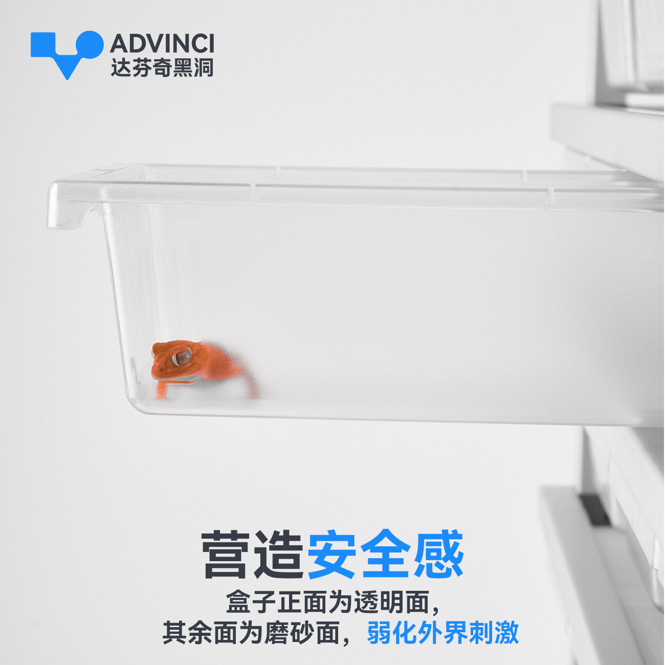 https://storage.googleapis.com/shophub-dev-public/orgs/23978ad6-e112-475b-84af-1f69693c01df/media/2026/06/24/O1CN01laIly21TOQbZ5pXhq_!!1644842372.jpg