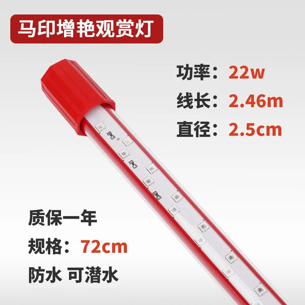 https://gw.alicdn.com/bao/uploaded/i4/2933563991/O1CN01zk1XU31fLvpxx3eaK_!!2933563991.jpg