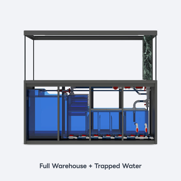 Native Fish Tank - RO-P198