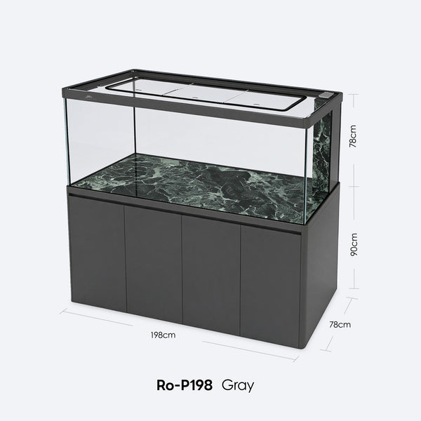 Native Fish Tank - RO-P198
