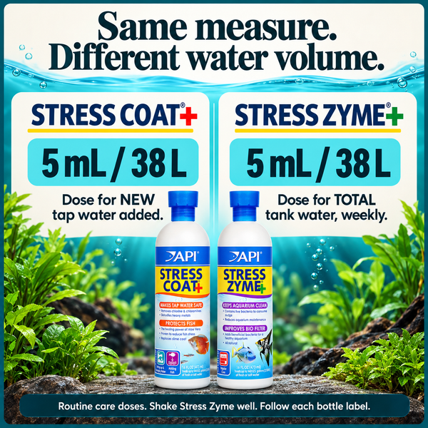 Routine doses: Stress Coat+ for new water and Stress Zyme for total aquarium volume