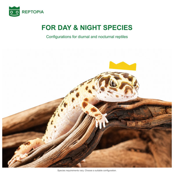 REPTOPIA D1 Smart Reptile Enclosure – Black Complete Kit
