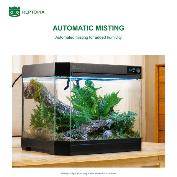 REPTOPIA D1 misting system shown in a planted terrarium