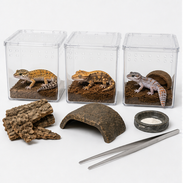 YoloLife Gecko Specialist Selection Deposit