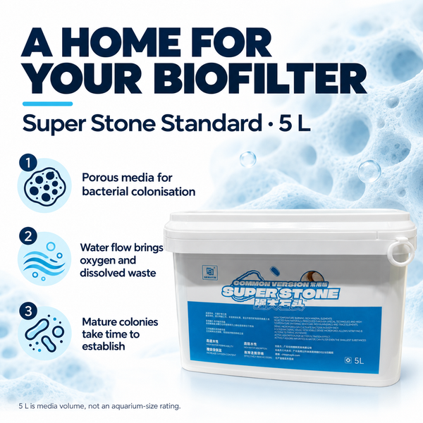 MAYIN Super Stone Standard 5 L provides porous surfaces for bacterial colonisation