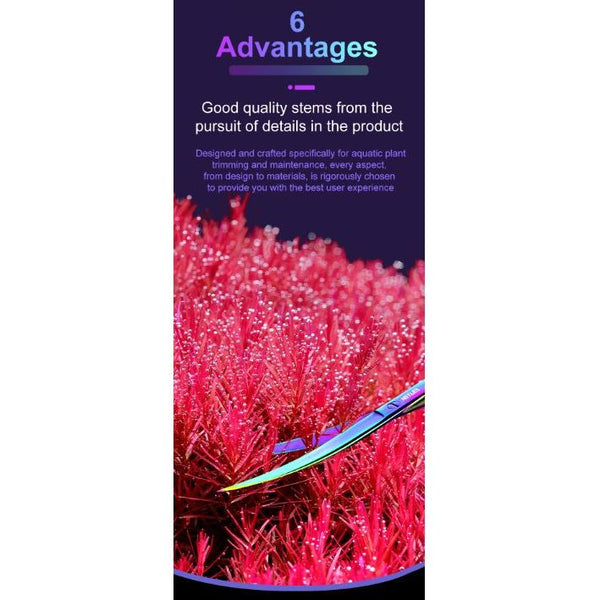 Netlea Aquascaping Scissors (16 cm Spring Scissors), Steel Aquarium