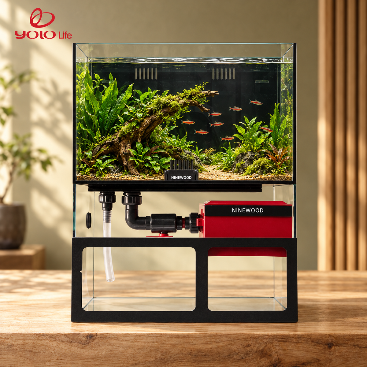 NINEWOOD 45B Aquarium - 450 × 300 × 560 mm gift set styled display. Livestock, decor and display stand are not included.