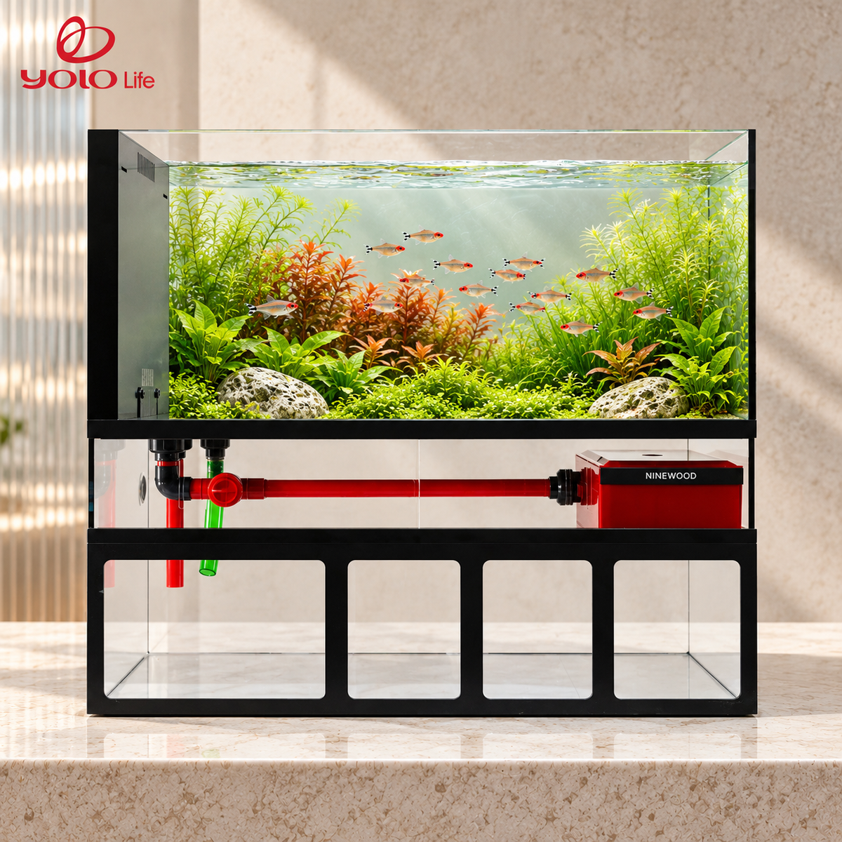 NINEWOOD 80C Aquarium - 800 × 400 × 700 mm gift set styled display. Livestock, decor and display stand are not included.