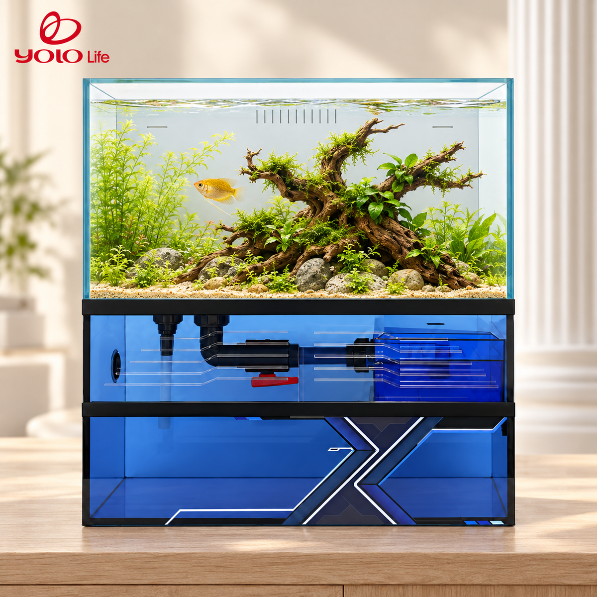 NINEWOOD B768 Aquarium - 550 × 320 × 560 mm gift set styled display. Livestock, decor and display stand are not included.