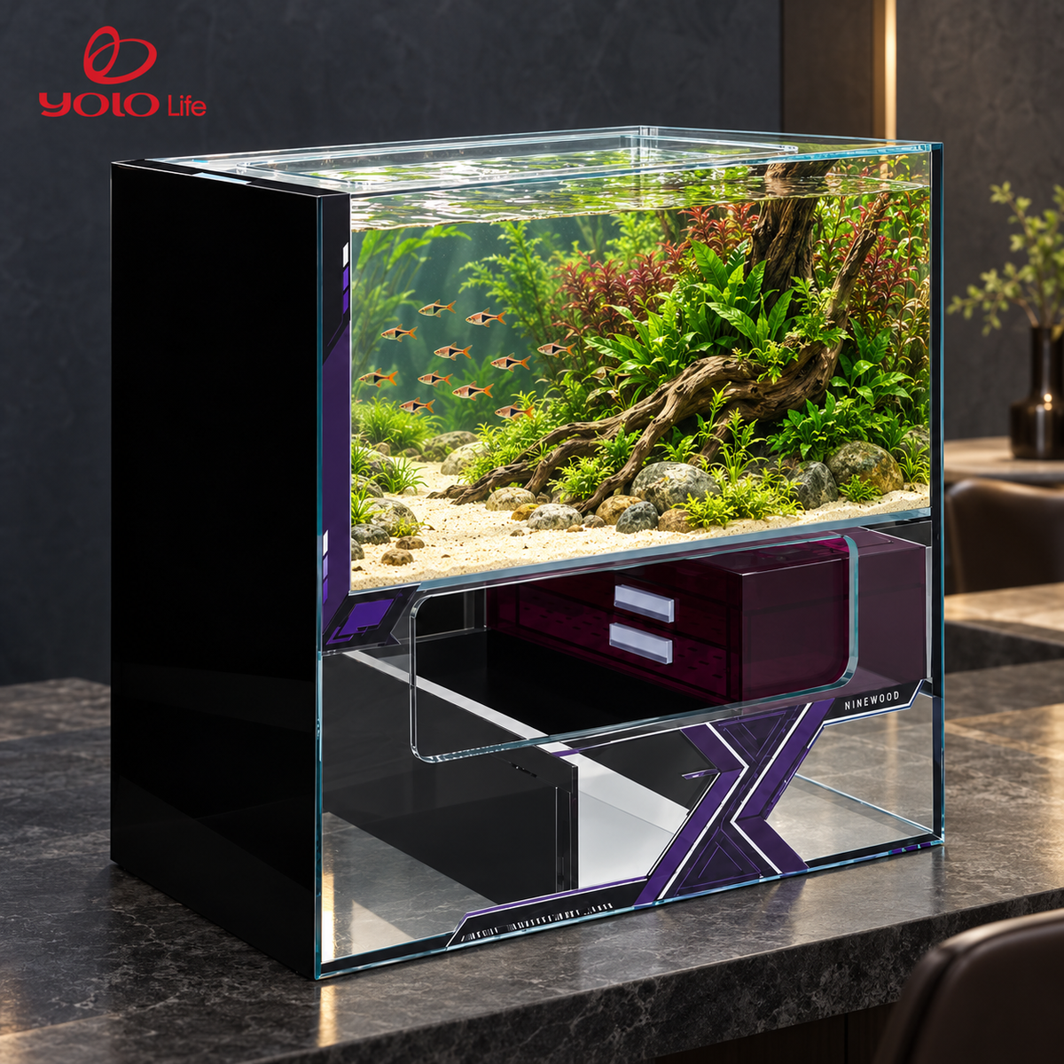 NINEWOOD 80Q Aquarium - Black — styled view