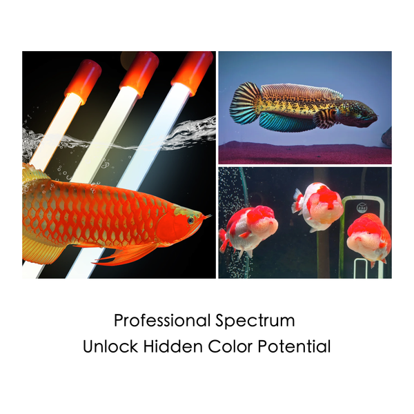 Mayin Full Spectrum LED Aquarium Light, Glass Fish Tank Lamp, Touch