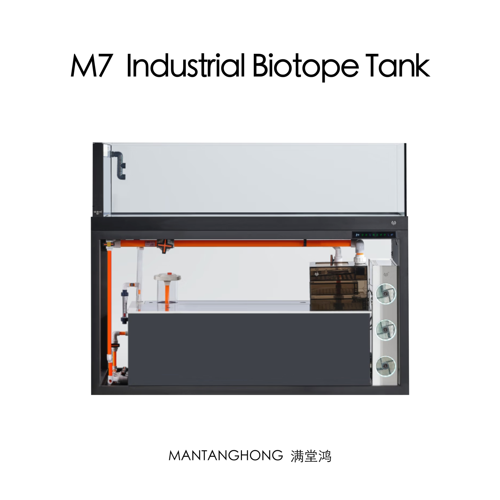 ManTangHong Aquarium Tank, Aquarium, for Ranchu