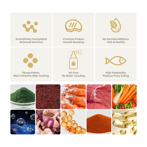 Mayin Goldfish Feed, Color Enhancing Granules for Ranchu and Lionhead