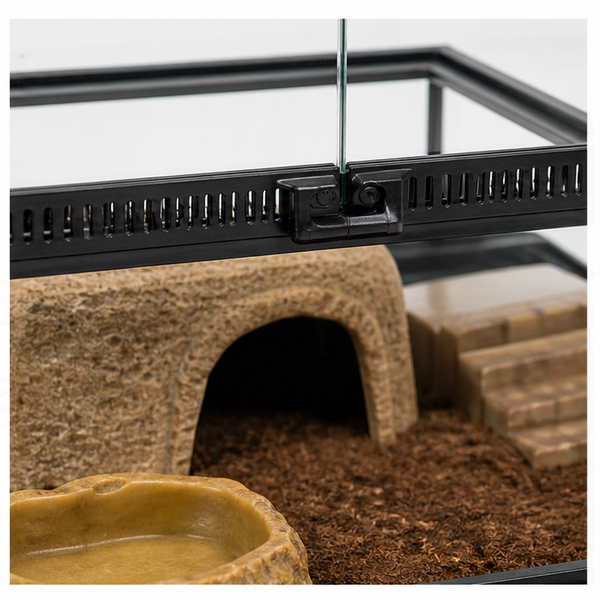 Terrarium & Tortoise House Set