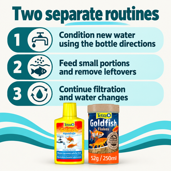 Two separate routines. Condition new water using the bottle directions. Feed small portions and remove leftovers. Continue filtration and water changes