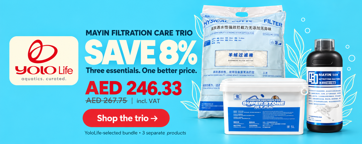 MAYIN Filtration Care Trio. Save 8%. AED 246.33 including VAT; was AED 267.75. Filter cotton, Super Stone media and nitrifying bacteria.