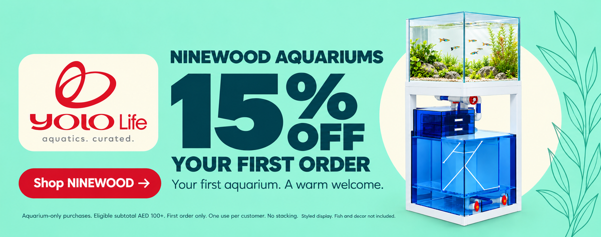 NINEWOOD M6D White Aquarium. First-order offer: 15% off. Eligible subtotal AED 100 or more. No stacking. Fish and decor not included.