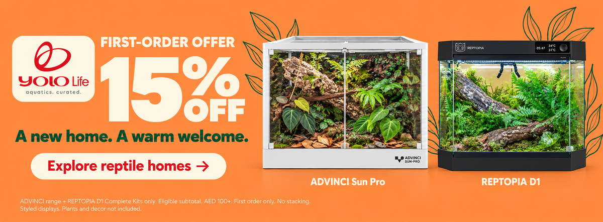 15% off the first order on eligible ADVINCI products and REPTOPIA D1 Complete Kits. Eligible subtotal AED 100 or more. No stacking. Styled displays; plants and decor not included.