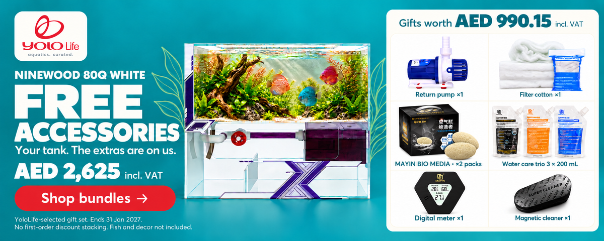 NINEWOOD 80Q White Aquarium Gift Set. AED 2,625 including VAT. Free accessories worth AED 990.15. Offer ends 31 January 2027. No offer stacking. Fish and decor not included.