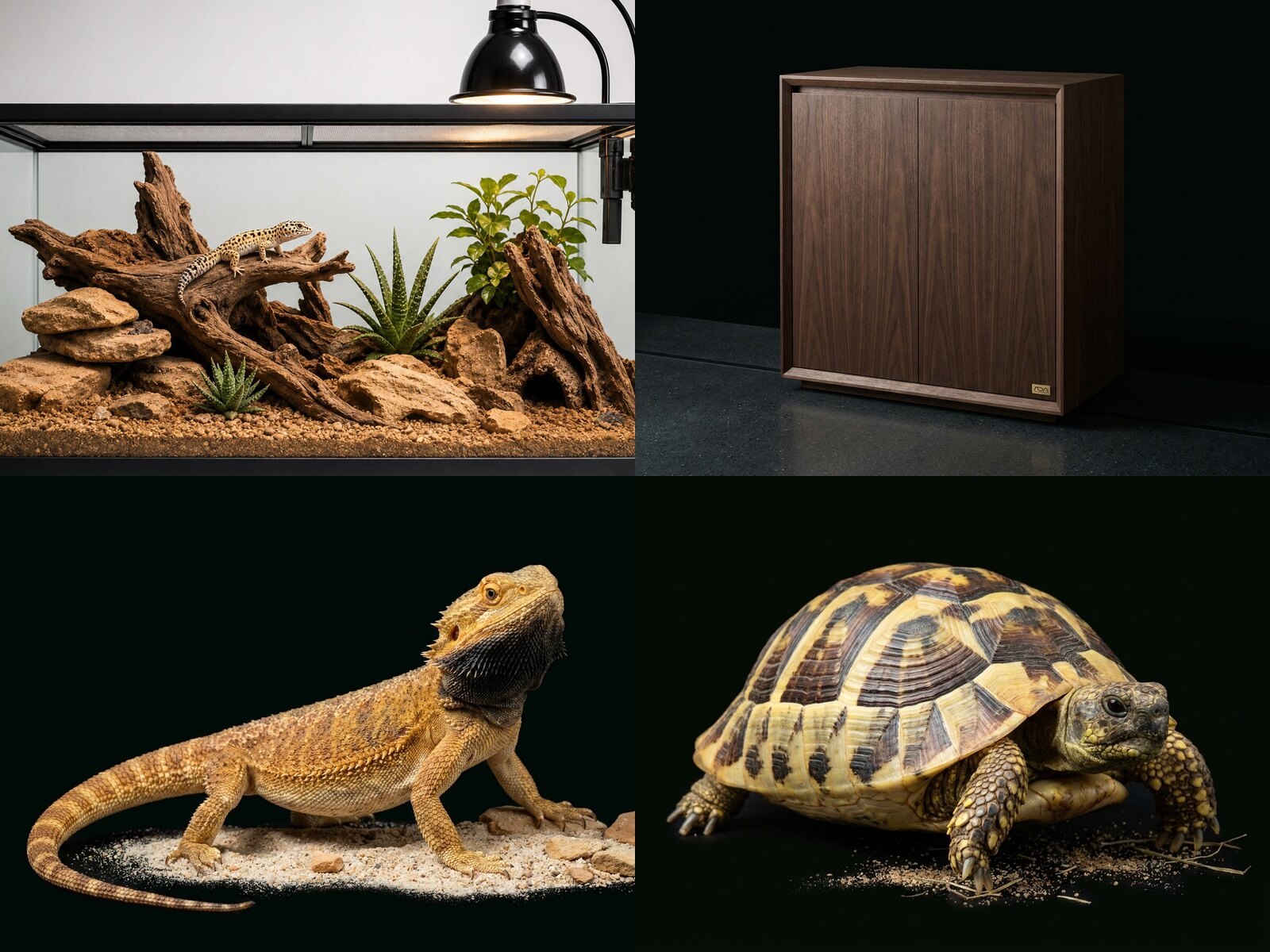 Reptile Substrate & Bedding
